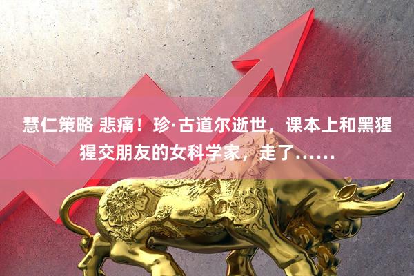 慧仁策略 悲痛！珍·古道尔逝世，课本上和黑猩猩交朋友的女科学家，走了……