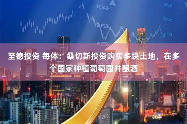 至德投资 每体：桑切斯投资购买多块土地，在多个国家种植葡萄园并酿酒